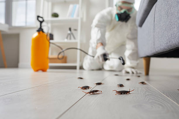Post-Treatment Bed Bug Interceptor Monitoring in Williamsport